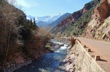 Day Trip To Ourika Valley