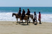 Afro-Mexican Village: Horseback Beach Ride, Crocs & Cliff Diver
