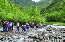 Historic Gold Panning Adventure & Salmon Bake