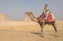 Giza Pyramids, Sphinx, Saqqara, Dahshur with Lunch and Camel Ride