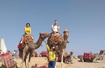 Giza Pyramids, Sphinx, Saqqara, Dahshur with Lunch and Camel Ride