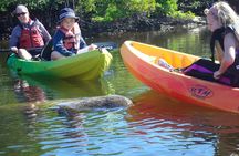 Guided Kayak Eco Tour - Bunche Beach