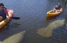 Guided Kayak Eco Tour - Bunche Beach