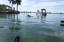Guided Kayak Eco Tour - Bunche Beach