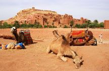 2 Day Excursions Marrakech Merzouga Erg Chebbi Camel Trek 2 Days 1 Nights Luxury
