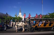 A Local's Private French Quarter Walking or Biking Tour 