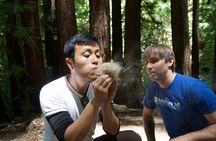 Introduction to Wilderness Survival Clinic in Marin County