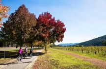 2-Night Murray to Mountain Trail Bike Tour from Beechworth