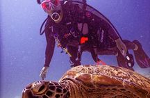 2-Day Scuba Diver Course in Koh Chang