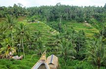 Bali Dance, Ubud Village, Scenic Rice Field And Waterfall Visit.