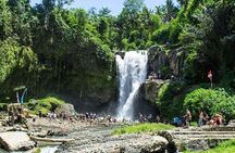 Best of Ubud Private Day Tour