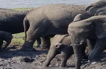 5 Days 4 Nights Budget Adventure Safari In Victoria Falls & Chobe National Park
