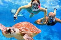 Snorkeling Experience At Blue Lagoon Bali With Lunch And Transfers
