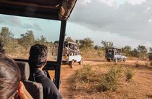 Temples and Wilderness from Negombo (2 Days)