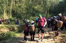 From Hanoi: 2 Days Luxury Sapa Trek & Fansipan Peak with Dcar