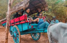 Glimpse of Sri Lanka (5 Days) 