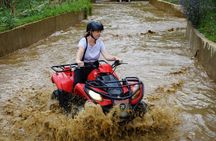 Quad Ride and Ubud Tour