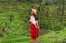 Quad Ride and Ubud Tour