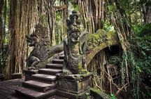 Quad Ride and Ubud Tour