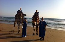 Sunset Camel Ride In Agadir 