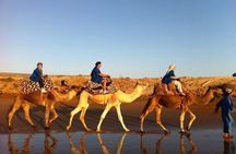 Sunset Camel Ride In Agadir 