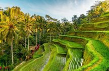 Penglipuran Traditional Village Tour with Swing, Rice Terrace, and Temple