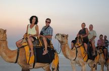 Sunset Camel Ride In Agadir 