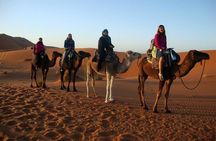 2 dias Excursion al desierto de Zagora 1 noche