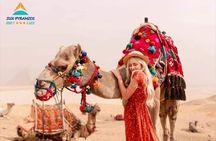 Private 2 Hours Camel Ride or Horse Around The Pyramids