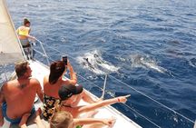 Private full day - Sailing Yacht 