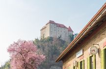 Castle Rajhenburg and House of Wines & Chocolate - Private tour from Ljubljana