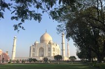 Golden triangle - accompanied 5-day budget tour