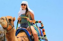 Camel Encounter and Safari Ride. Includes lunch & alcohol tasting