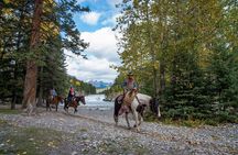 4 Hour Sulphur Mountain Horseback Ride