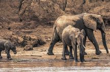 3 nights exclusive Masai Mara safari