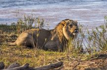3 nights exclusive Masai Mara safari