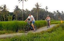 Ubud Bali Cycling Tour