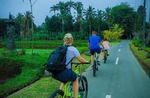 Ubud Bali Cycling Tour