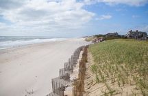 The Hamptons and Long Island Wineries Private Tour
