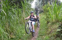 Ubud Bali Cycling Tour