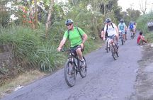Ubud Bali Cycling Tour