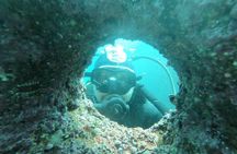 Diving excursion in Quintay