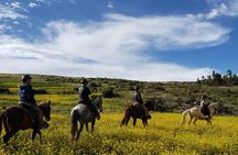 Horse Riding to the Temple of the Moon + Guided Visit to Sacsayhuaman - Cusco
