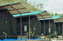 Air-cooled camp and rafting in Rishikesh (2n3d) 