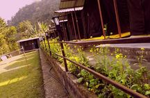 Air-cooled camp and rafting in Rishikesh (2n3d) 