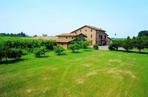 Modena area: Balsamic Vinegar “Aceto” Tasting Experience