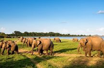 6 Days Nature And Culture Tour