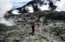 Papandayan Sunrise Trek & Dead Forest - Private Tour
