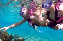 Xcaret Plus Tour & Swim in the Underground River only from Tulum