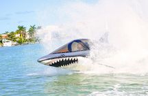 Seabreacher Ride in Cancun